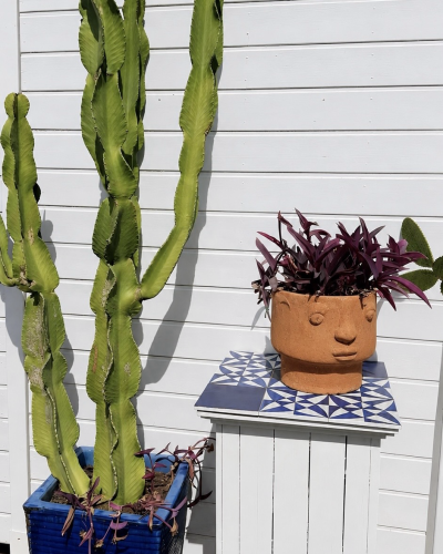 plante et décor plage l'infini cap d'agde